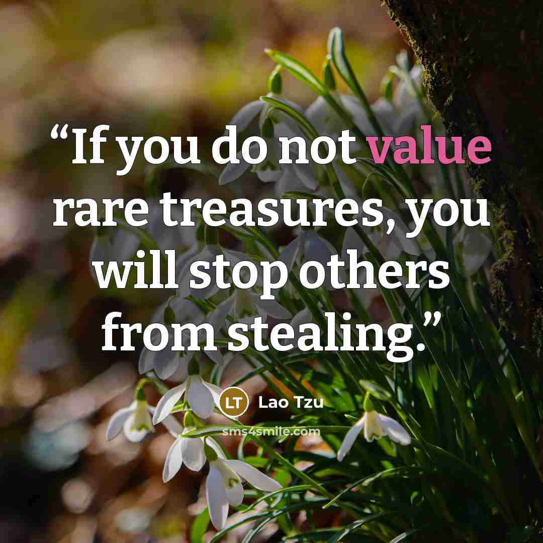 “If you do not value rare treasures, you will stop others from stealing.” quote by Lao Tzu