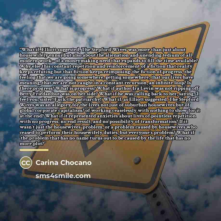 “What if, Elliott suggested, The Stepford Wives was more than just about housewifely ennui but also about the alienation and unending tedium of all modern work - of a moneymaking need that expands to fill the time available? Why else this constant repetition and reinforcement of a fiction that…” quote by Carina Chocano