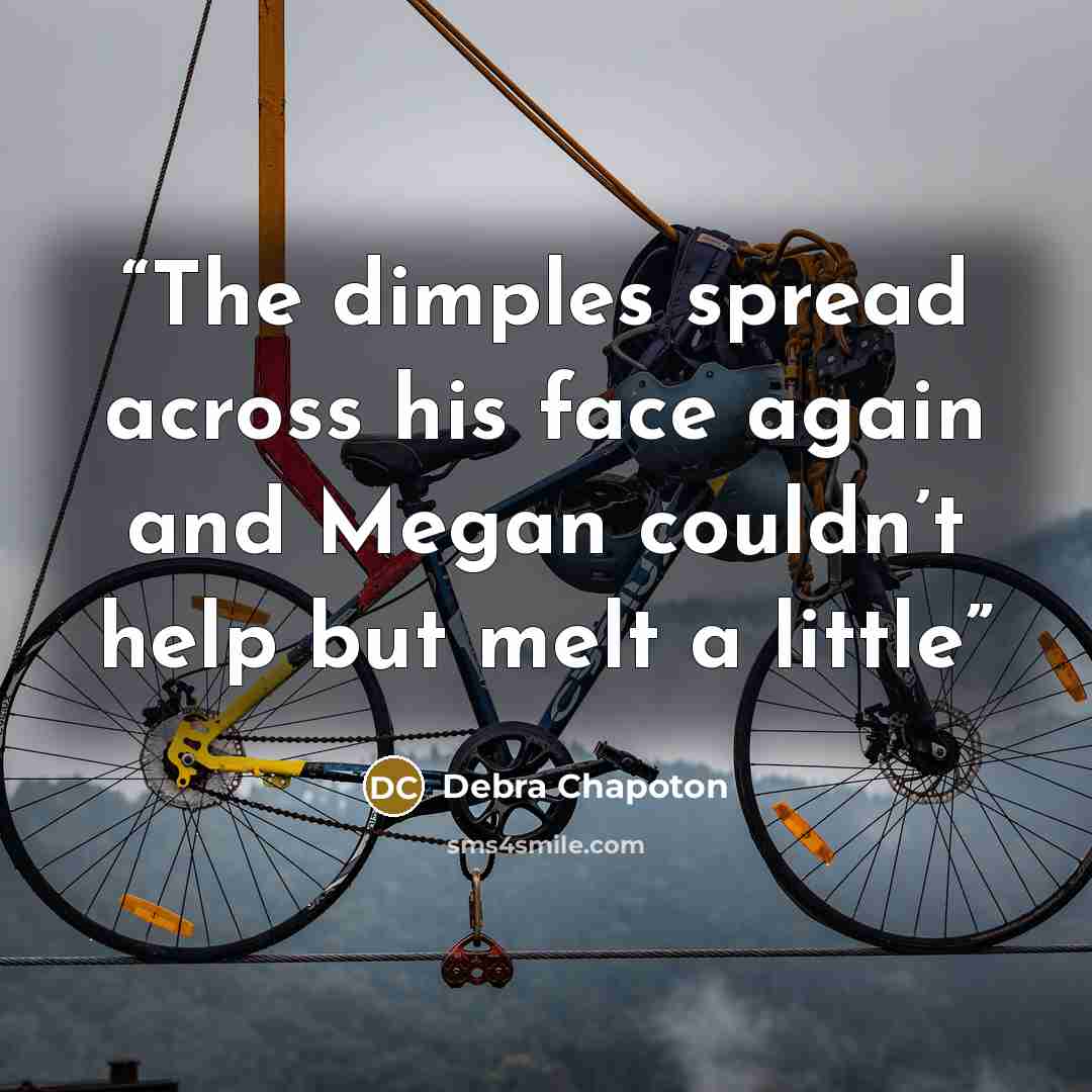 “The dimples spread across his face again and Megan couldn’t help but melt a little” quote by Debra Chapoton