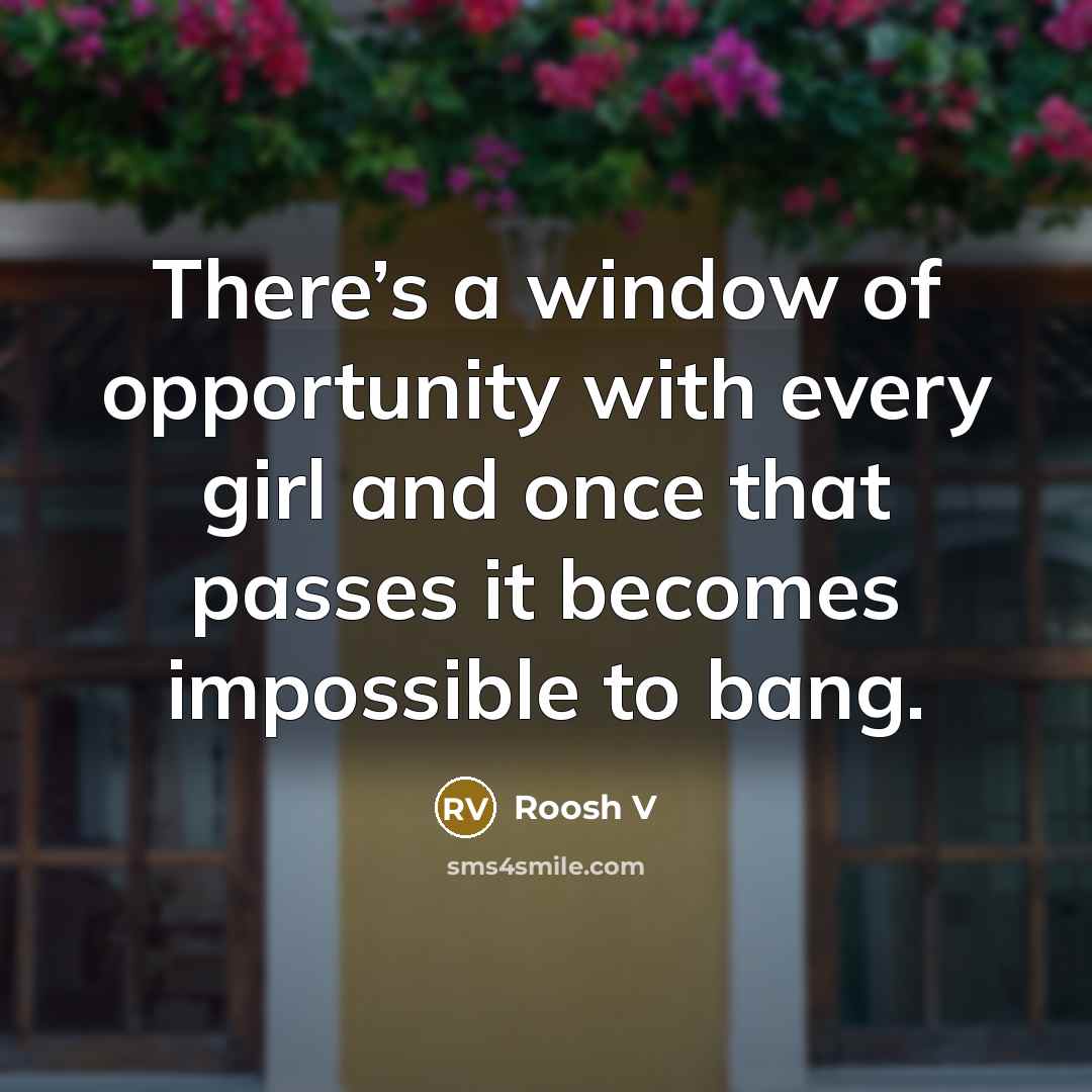 “There’s a window of opportunity with every girl and once that passes it becomes impossible to bang.” quote by Roosh V