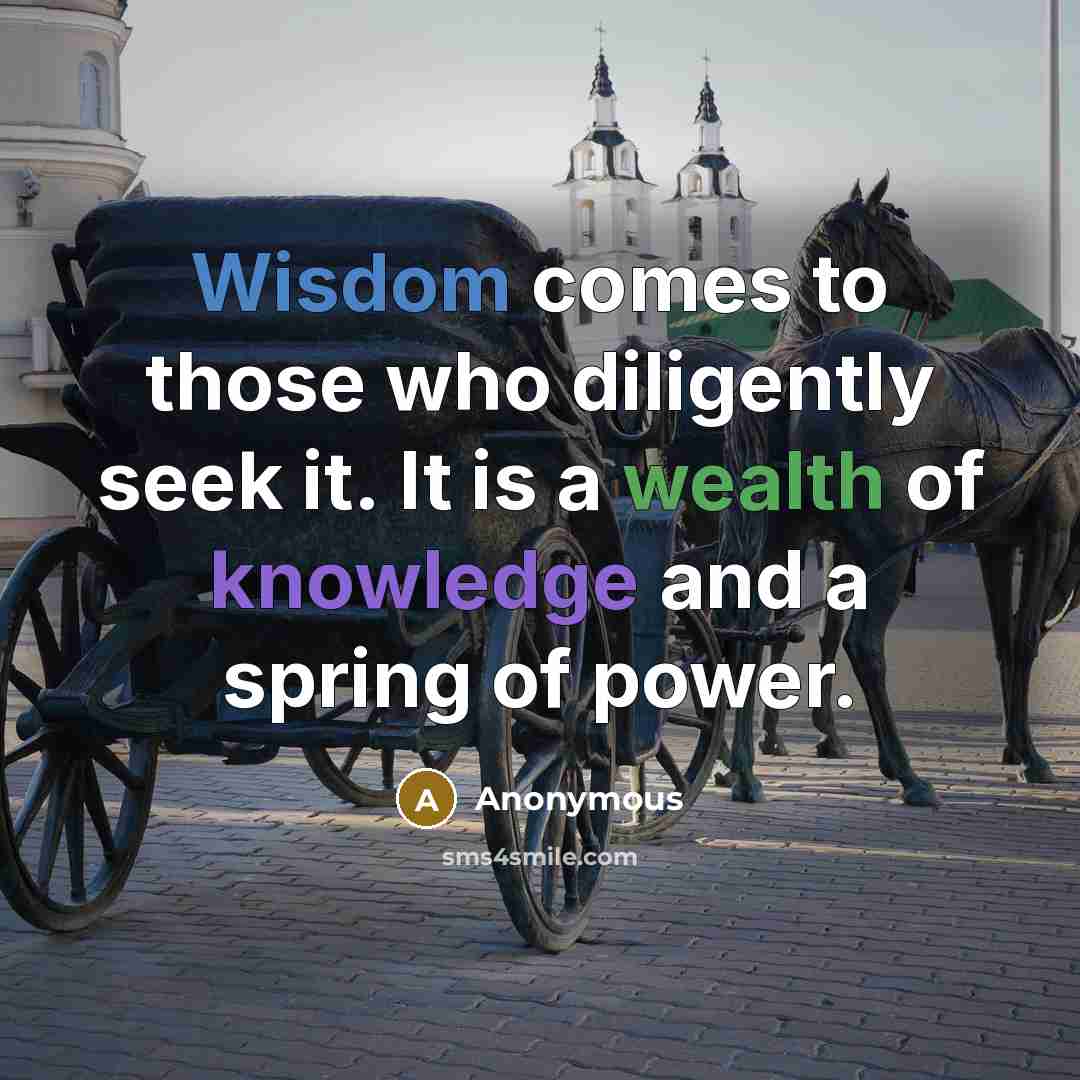 “Wisdom comes to those who diligently seek it. It is a wealth of knowledge and a spring of power.” quote by Anonymous