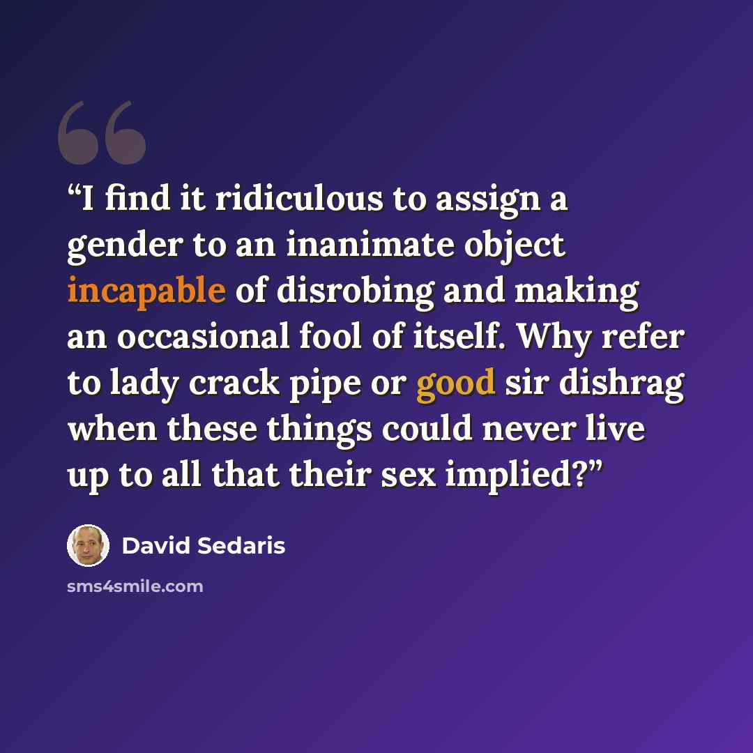 “I find it ridiculous to assign a gender to an inanimate object incapable of disrobing and making an occasional fool of itself. Why refer to lady crack pipe or good sir dishrag when these things could never live up to all that their sex implied?” quote by David Sedaris