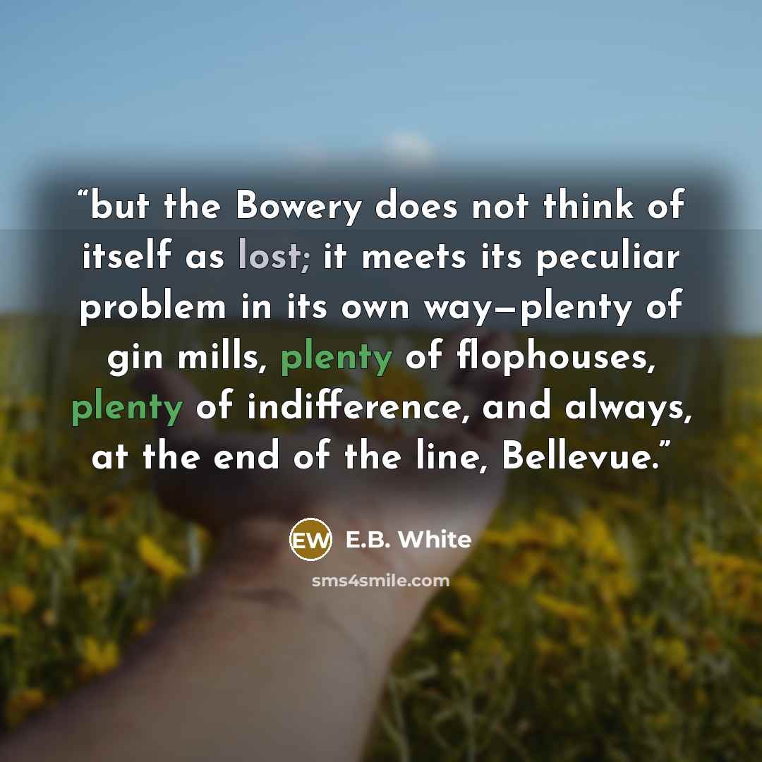 “but the Bowery does not think of itself as lost; it meets its peculiar problem in its own way—plenty of gin mills, plenty of flophouses, plenty of indifference, and always, at the end of the line, Bellevue.” quote by E.B. White