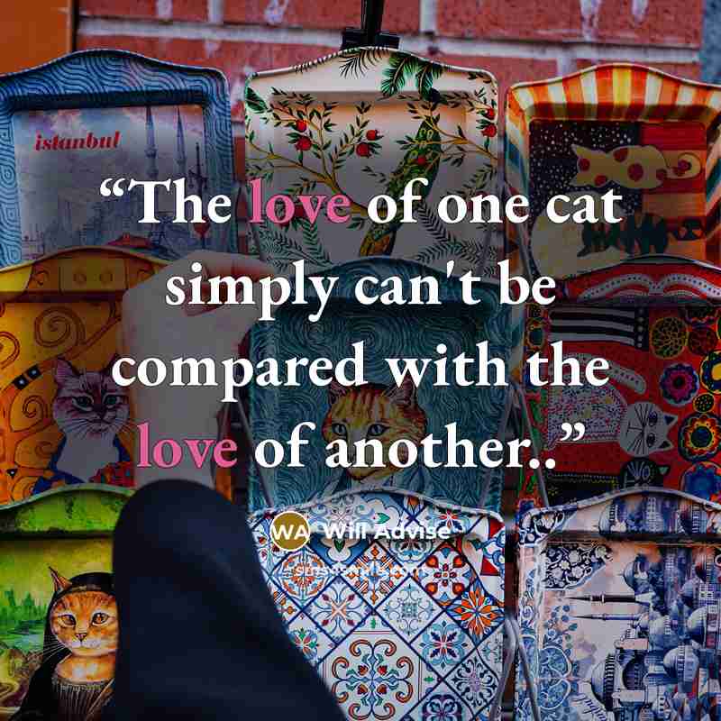 “The love of one cat simply can't be compared with the love of another..” quote by Will Advise