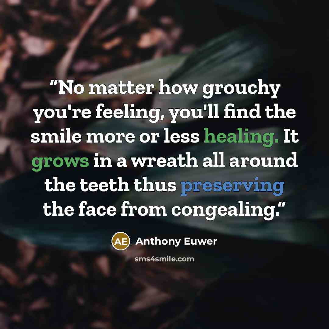 “No matter how grouchy you're feeling, you'll find the smile more or less healing. It grows in a wreath all around the teeth thus preserving the face from congealing.” quote by Anthony Euwer