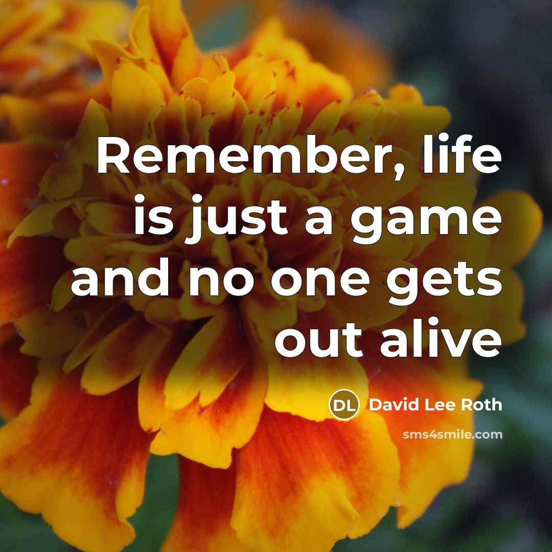 “Remember, life is just a game and no one gets out alive” quote by David Lee Roth