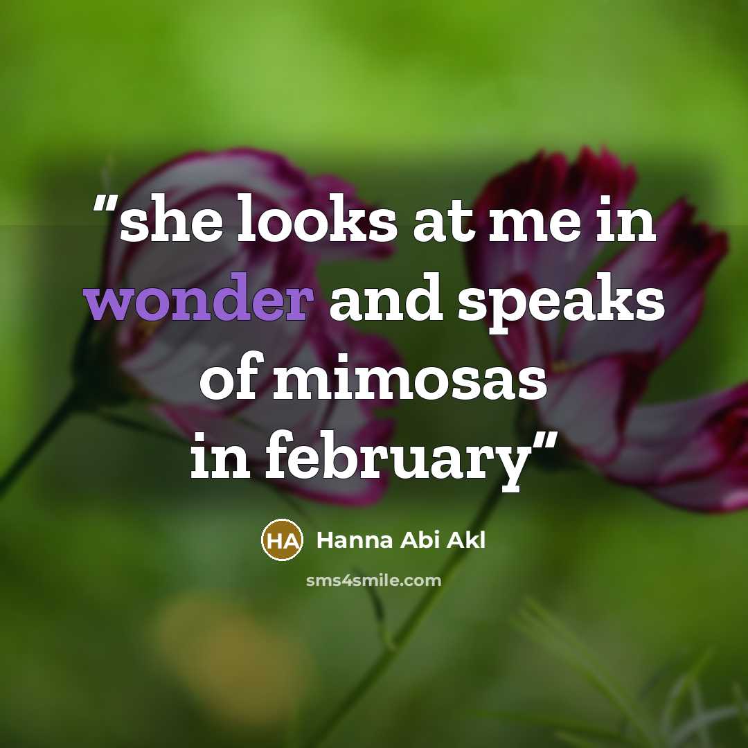 “she looks at me in wonder and speaks of mimosas in february” quote by Hanna Abi Akl