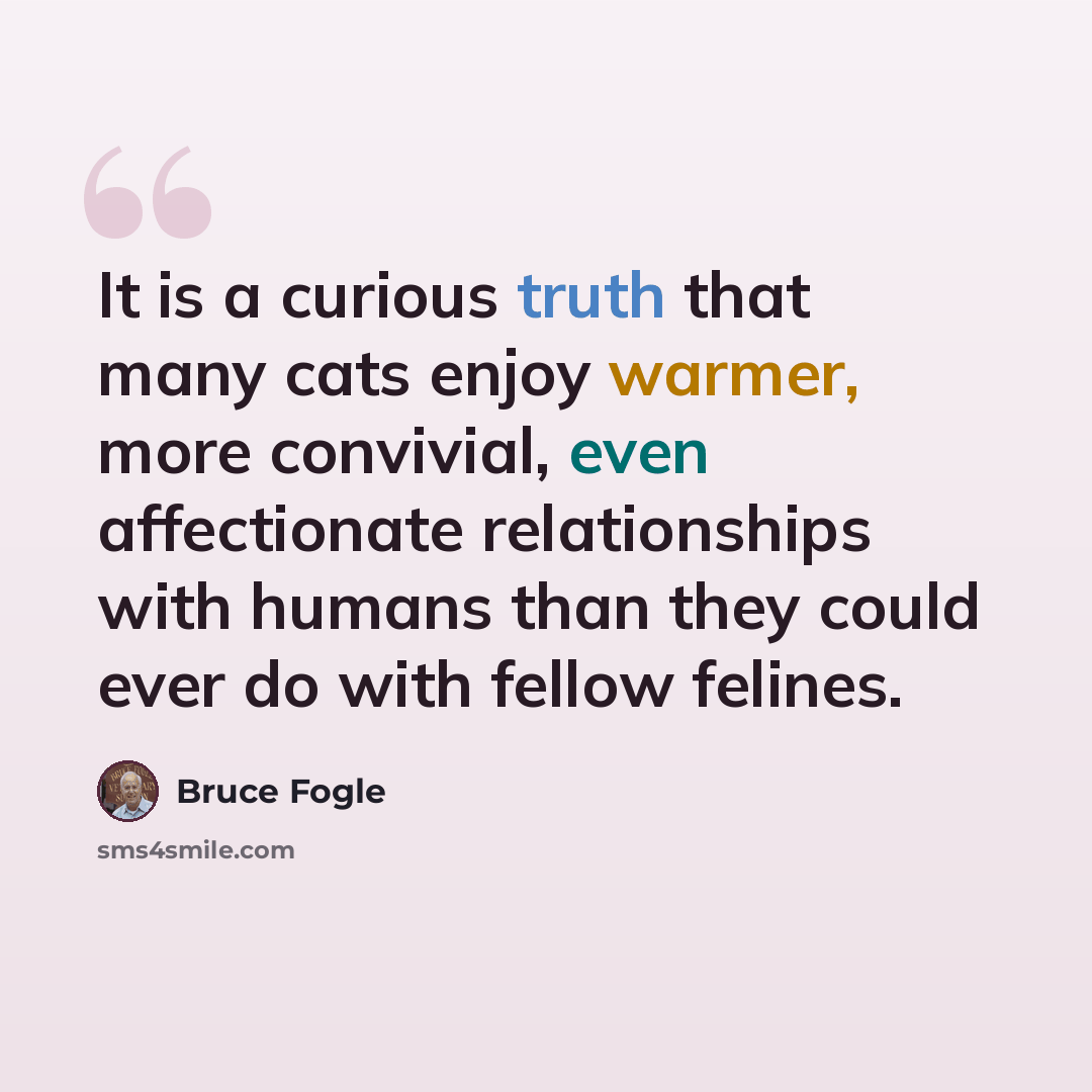 “It is a curious truth that many cats enjoy warmer, more convivial, even affectionate relationships with humans than they could ever do with fellow felines.” quote by Bruce Fogle