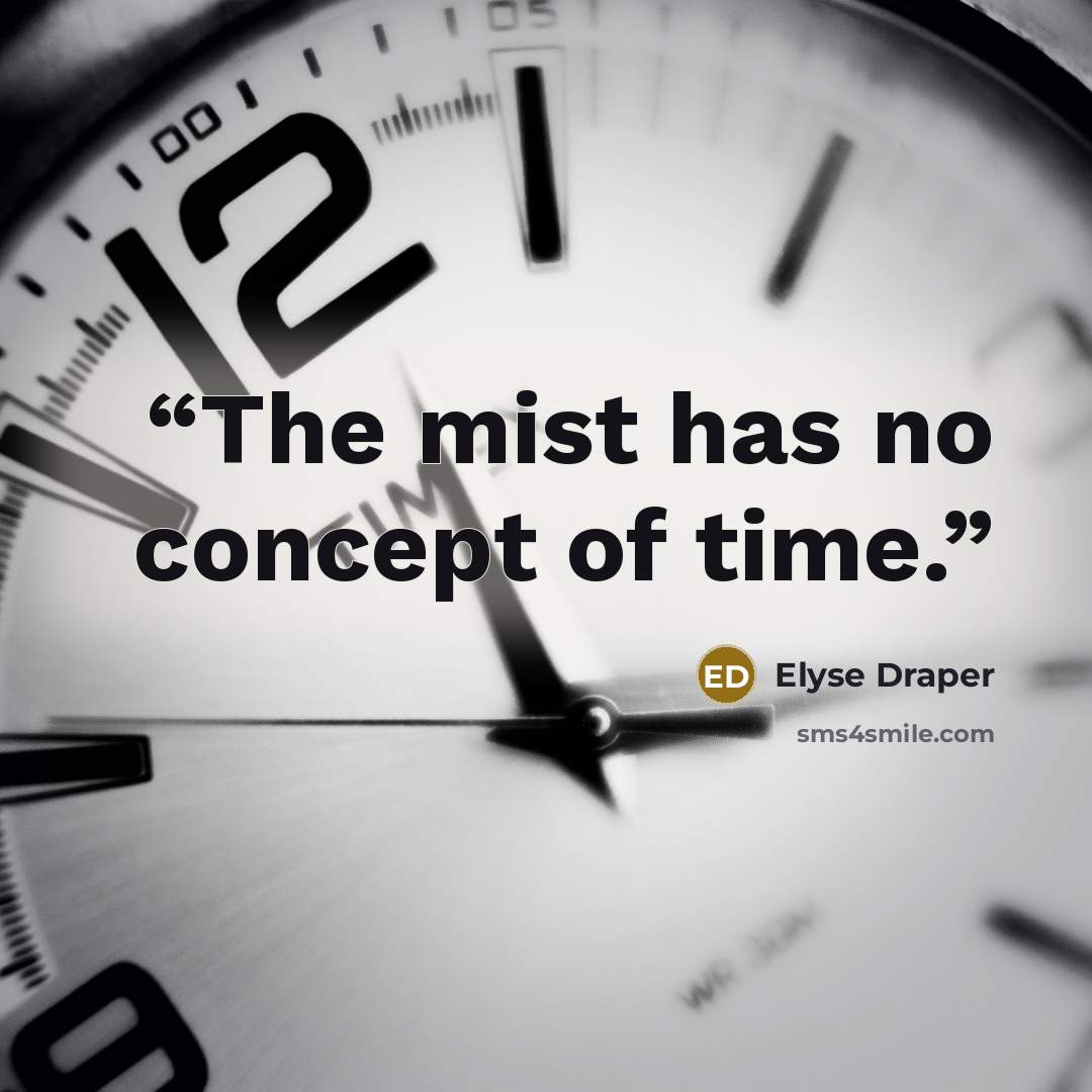 “The mist has no concept of time.” quote by Elyse Draper