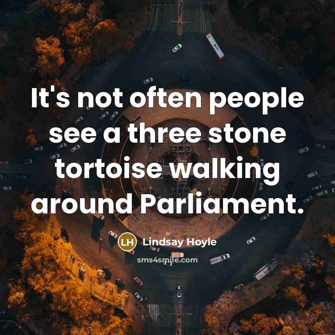 “It's not often people see a three stone tortoise walking around Parliament.” quote by Lindsay Hoyle