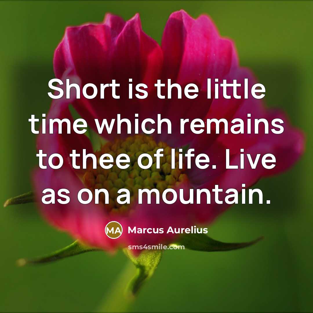 “Short is the little time which remains to thee of life. Live as on a mountain.” quote by Marcus Aurelius