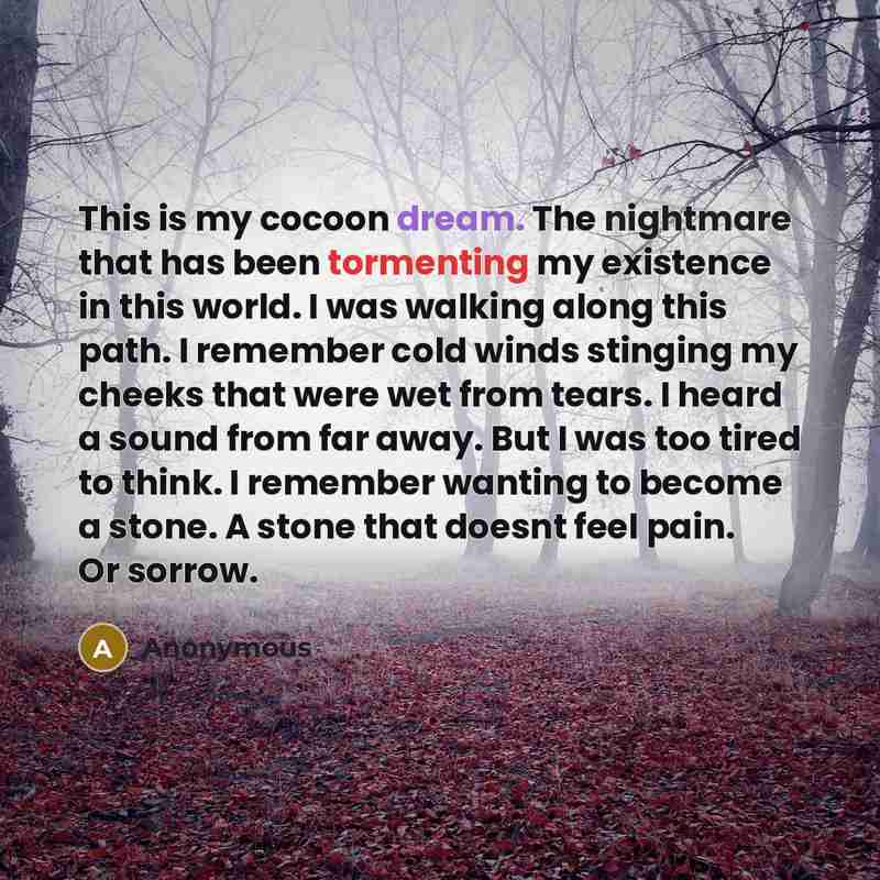 “This is my cocoon dream. The nightmare that has been tormenting my existence in this world. I was walking along this path. I remember cold winds stinging my cheeks that were wet from tears. I heard a sound from far away. But I was too tired to think. I remember wanting to become a stone. A stone…” quote by Anonymous