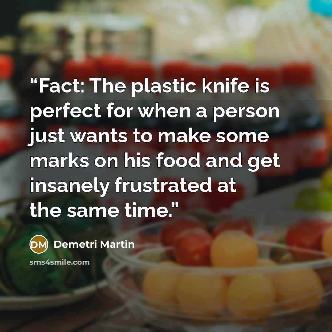 “Fact: The plastic knife is perfect for when a person just wants to make some marks on his food and get insanely frustrated at the same time.” quote by Demetri Martin