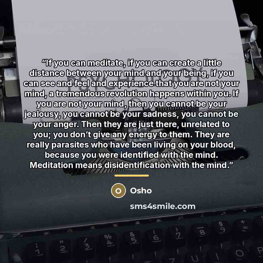 “If you can meditate, if you can create a little distance between your mind and your being, if you can see and feel and experience that you are not your mind, a tremendous revolution happens within you. If you are not your mind, then you cannot be your jealousy, you cannot be your sadness, you…” quote by Osho