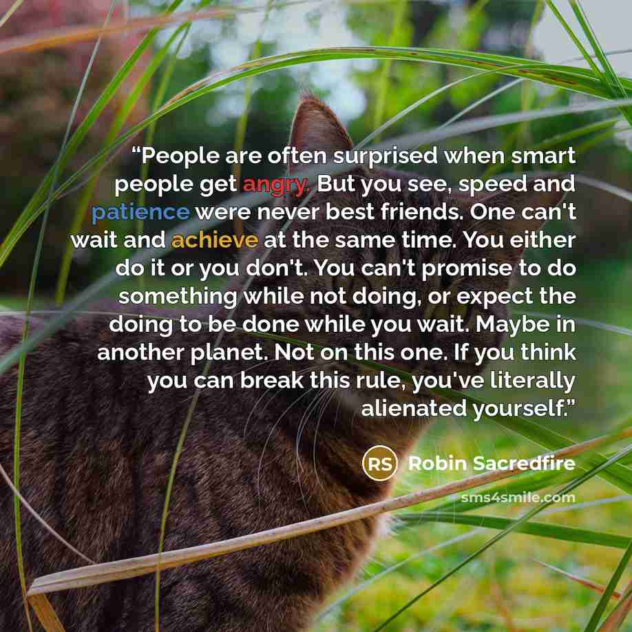 “People are often surprised when smart people get angry. But you see, speed and patience were never best friends. One can't wait and achieve at the same time. You either do it or you don't. You can't promise to do something while not doing, or expect the doing to be done while you wait. Maybe in…” quote by Robin Sacredfire