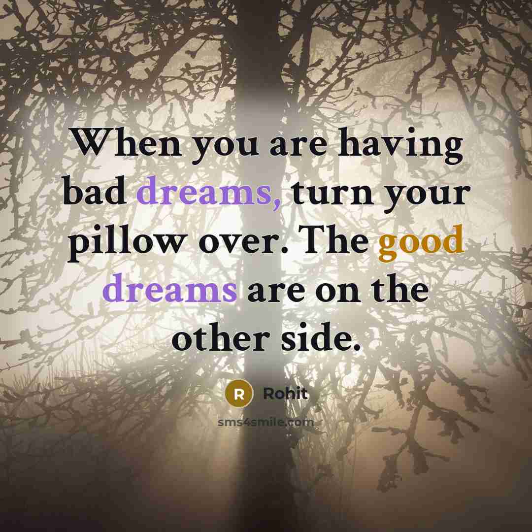 “When you are having bad dreams, turn your pillow over. The good dreams are on the other side.” quote by Rohit