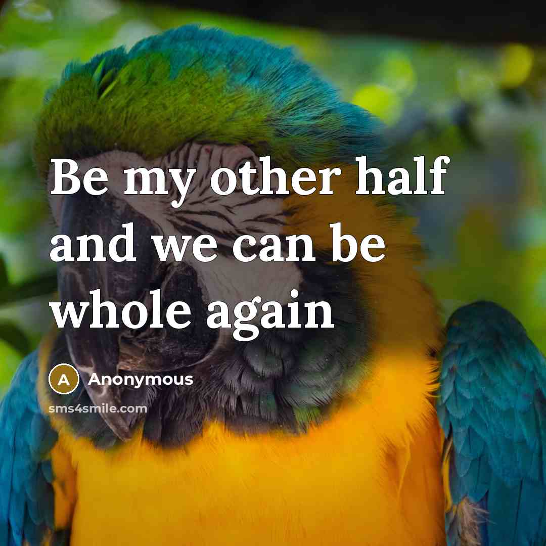 “Be my other half and we can be whole again” quote by Anonymous