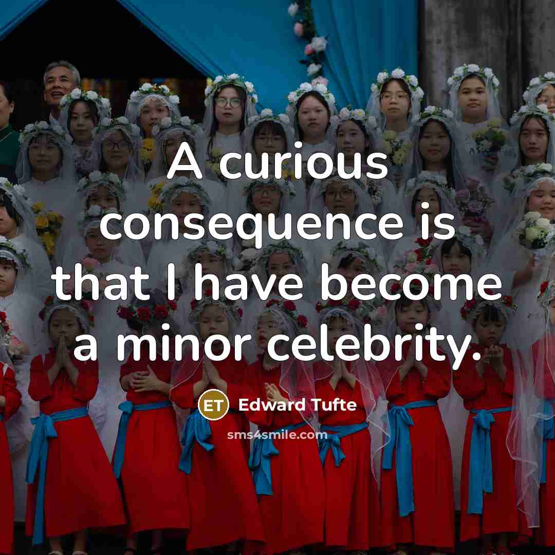 “A curious consequence is that I have become a minor celebrity.” quote by Edward Tufte