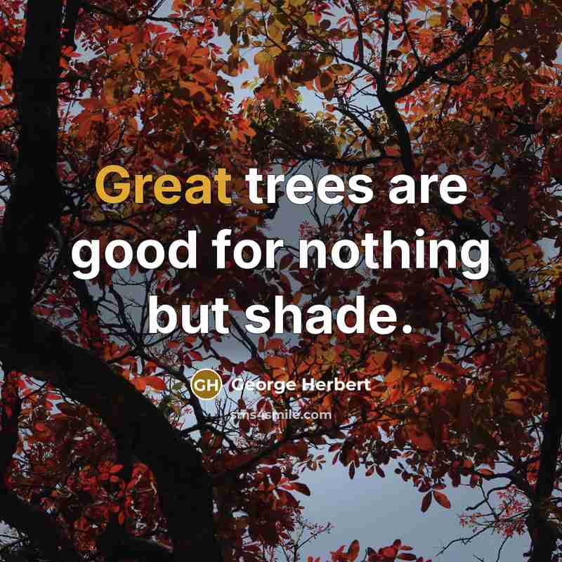“Great trees are good for nothing but shade.” quote by George Herbert