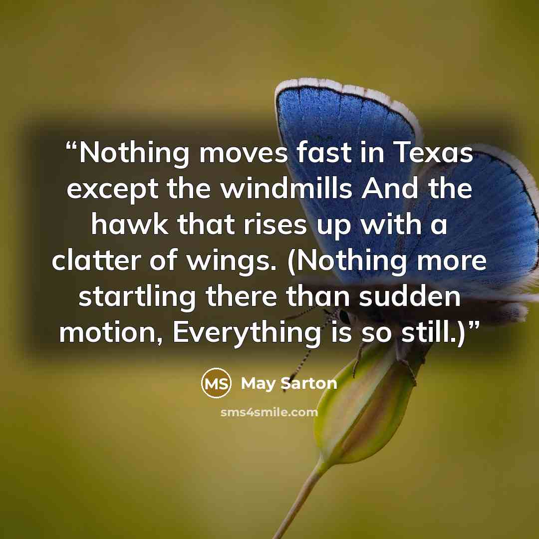 “Nothing moves fast in Texas except the windmills And the hawk that rises up with a clatter of wings. (Nothing more startling there than sudden motion, Everything is so still.)” quote by May Sarton