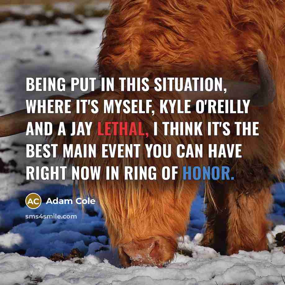 “Being put in this situation, where it's myself, Kyle O'Reilly and a Jay Lethal, I think it's the best main event you can have right now in Ring of Honor.” quote by Adam Cole