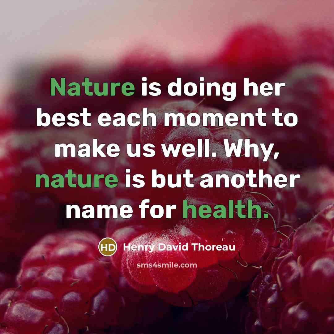 “Nature is doing her best each moment to make us well. Why, nature is but another name for health.” quote by Henry David Thoreau