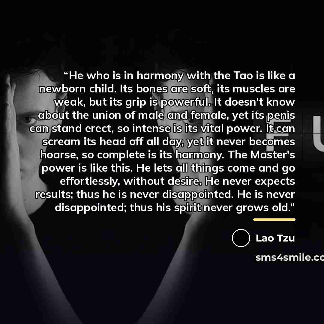 “He who is in harmony with the Tao is like a newborn child. Its bones are soft, its muscles are weak, but its grip is powerful. It doesn't know about the union of male and female, yet its penis can stand erect, so intense is its vital power. It can scream its head off all day, yet it never becomes…” quote by Lao Tzu