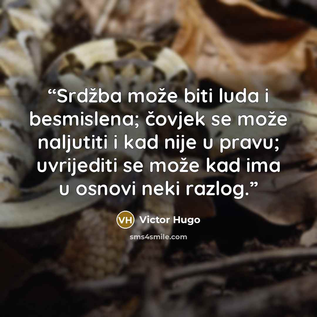 “Srdžba može biti luda i besmislena; čovjek se može naljutiti i kad nije u pravu; uvrijediti se može kad ima u osnovi neki razlog.” quote by Victor Hugo