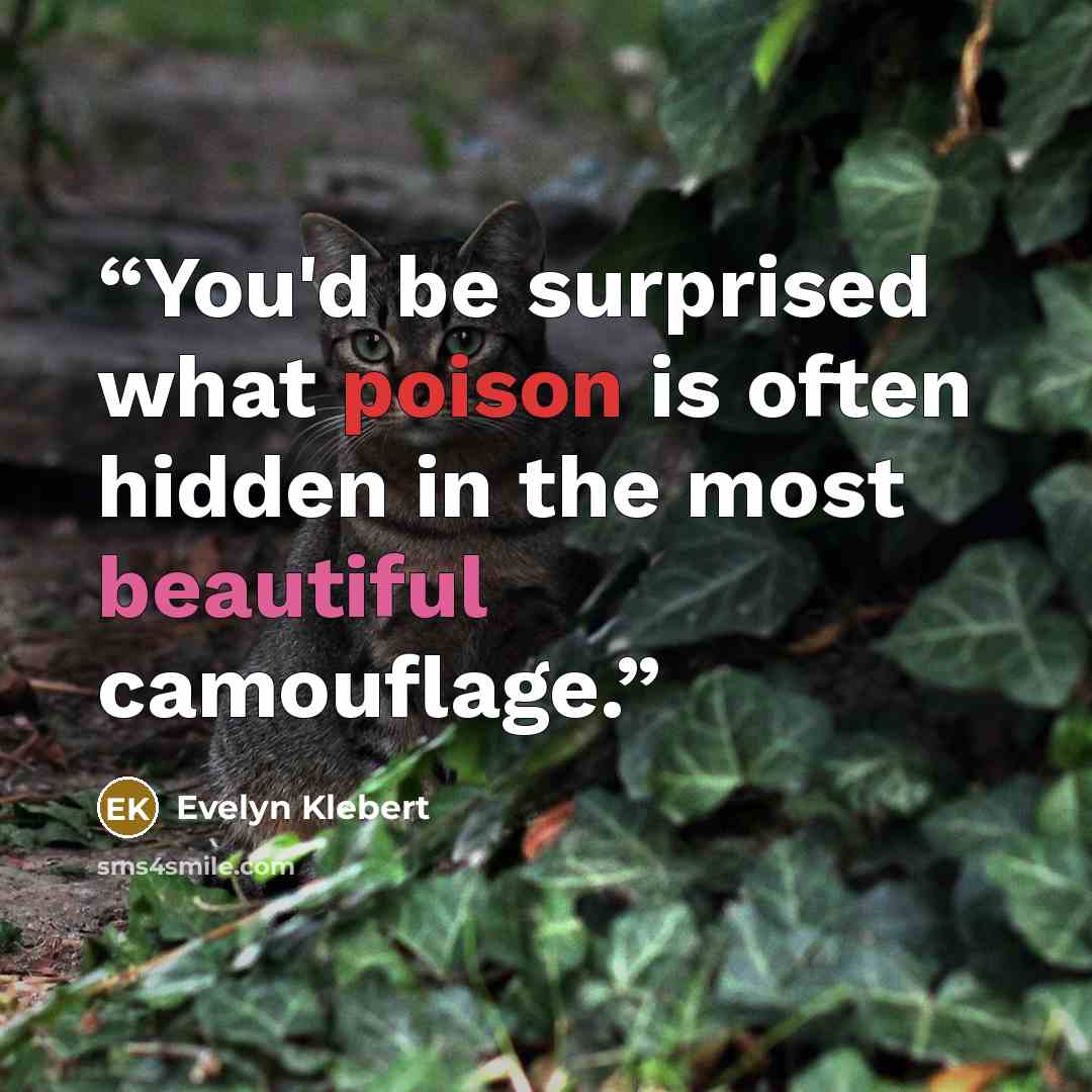 “You'd be surprised what poison is often hidden in the most beautiful camouflage.” quote by Evelyn Klebert
