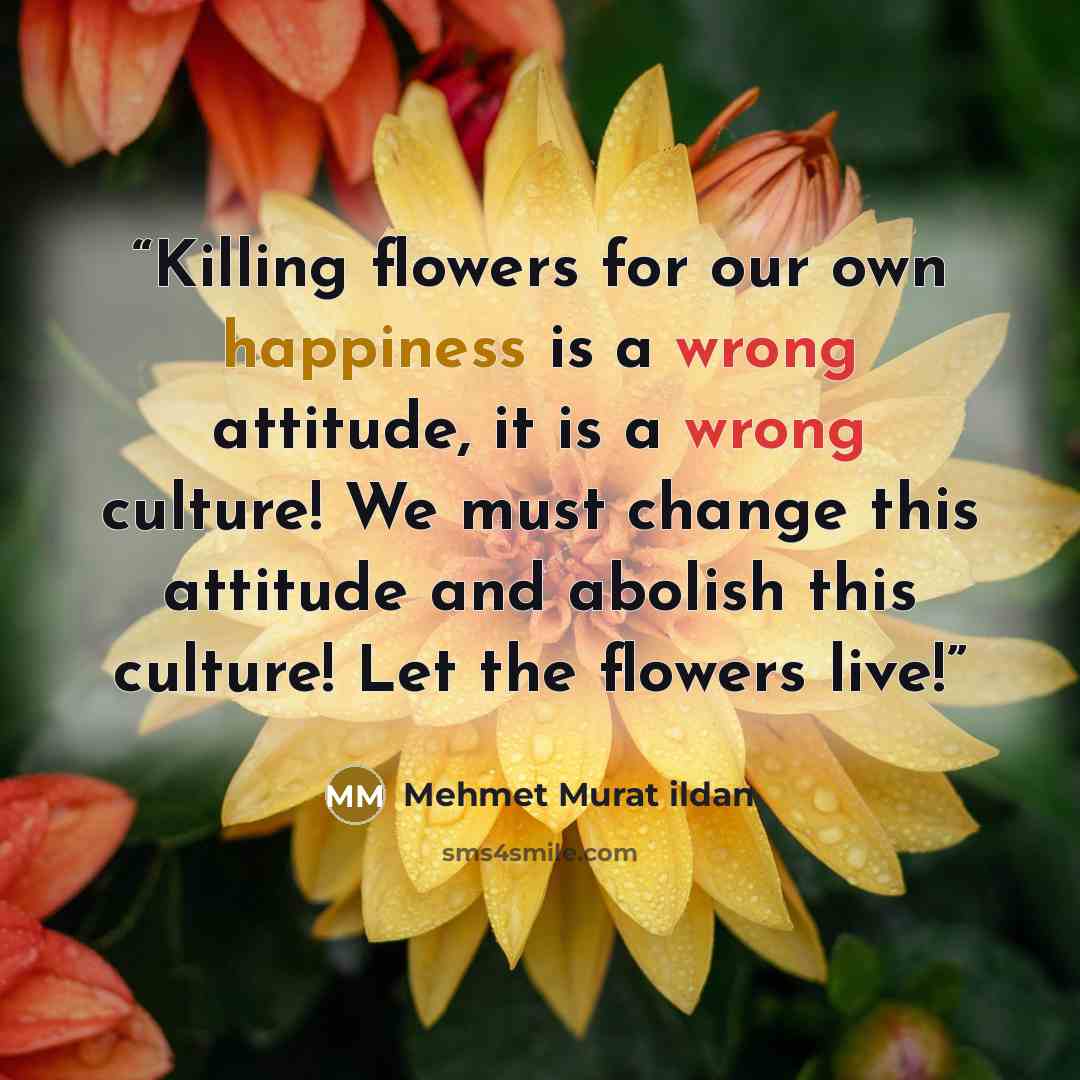 “Killing flowers for our own happiness is a wrong attitude, it is a wrong culture! We must change this attitude and abolish this culture! Let the flowers live!” quote by Mehmet Murat ildan