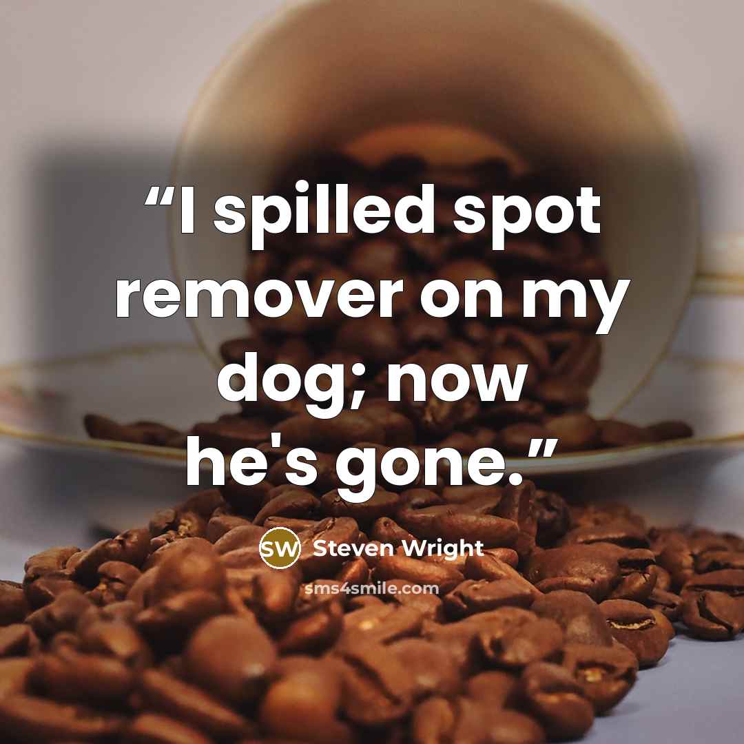 “I spilled spot remover on my dog; now he's gone.” quote by Steven Wright