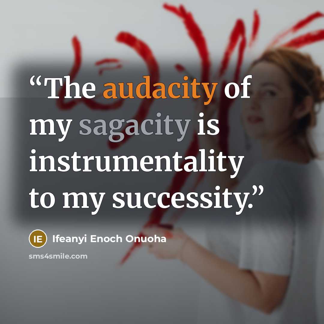 “The audacity of my sagacity is instrumentality to my successity.” quote by Ifeanyi Enoch Onuoha