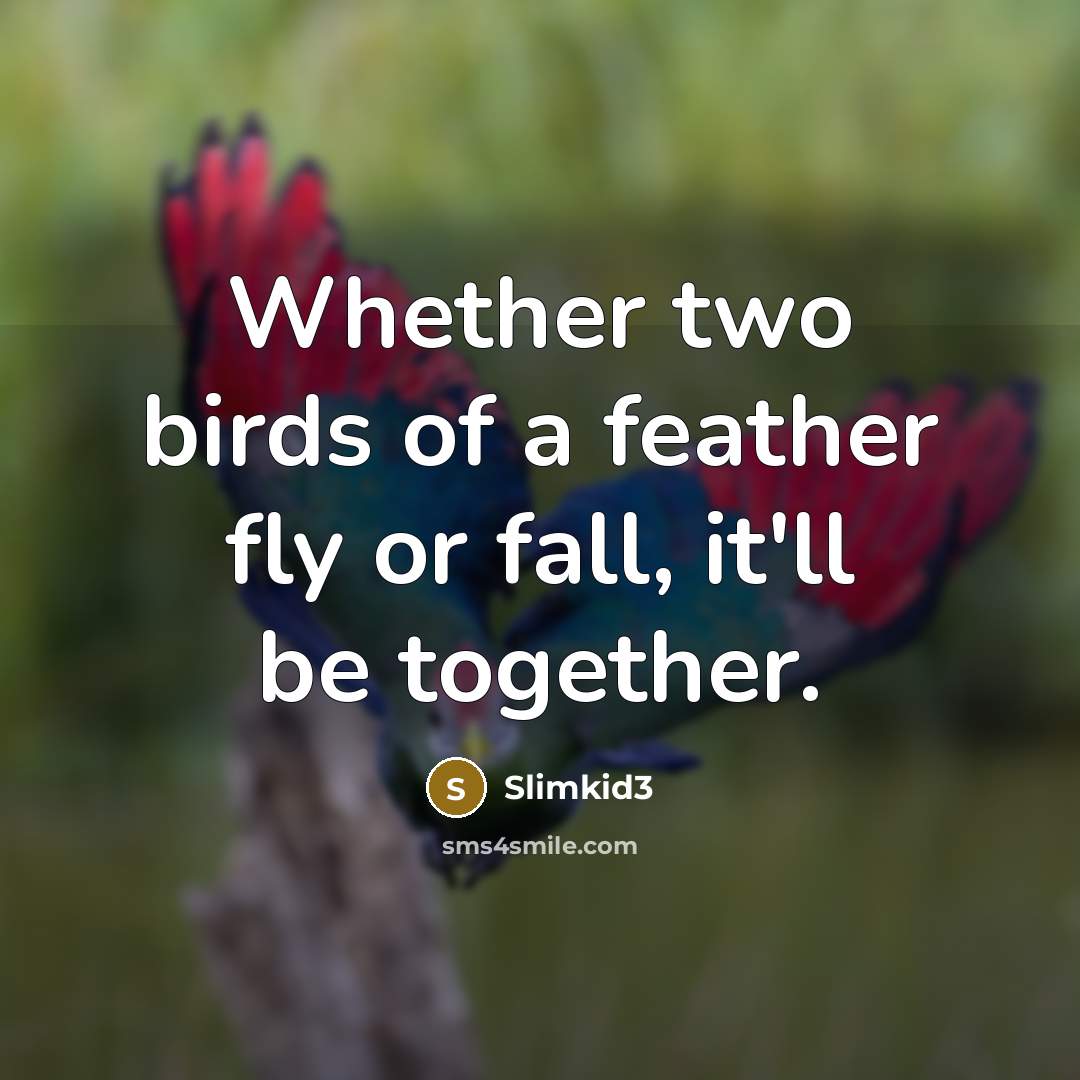 “Whether two birds of a feather fly or fall, it'll be together.” quote by Slimkid3