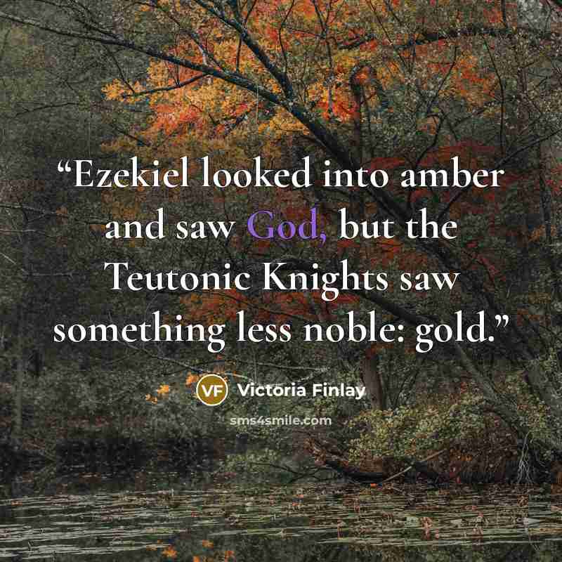 “Ezekiel looked into amber and saw God, but the Teutonic Knights saw something less noble: gold.” quote by Victoria Finlay
