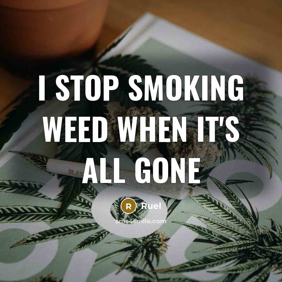 “I stop smoking weed when it's all gone” quote by Ruel