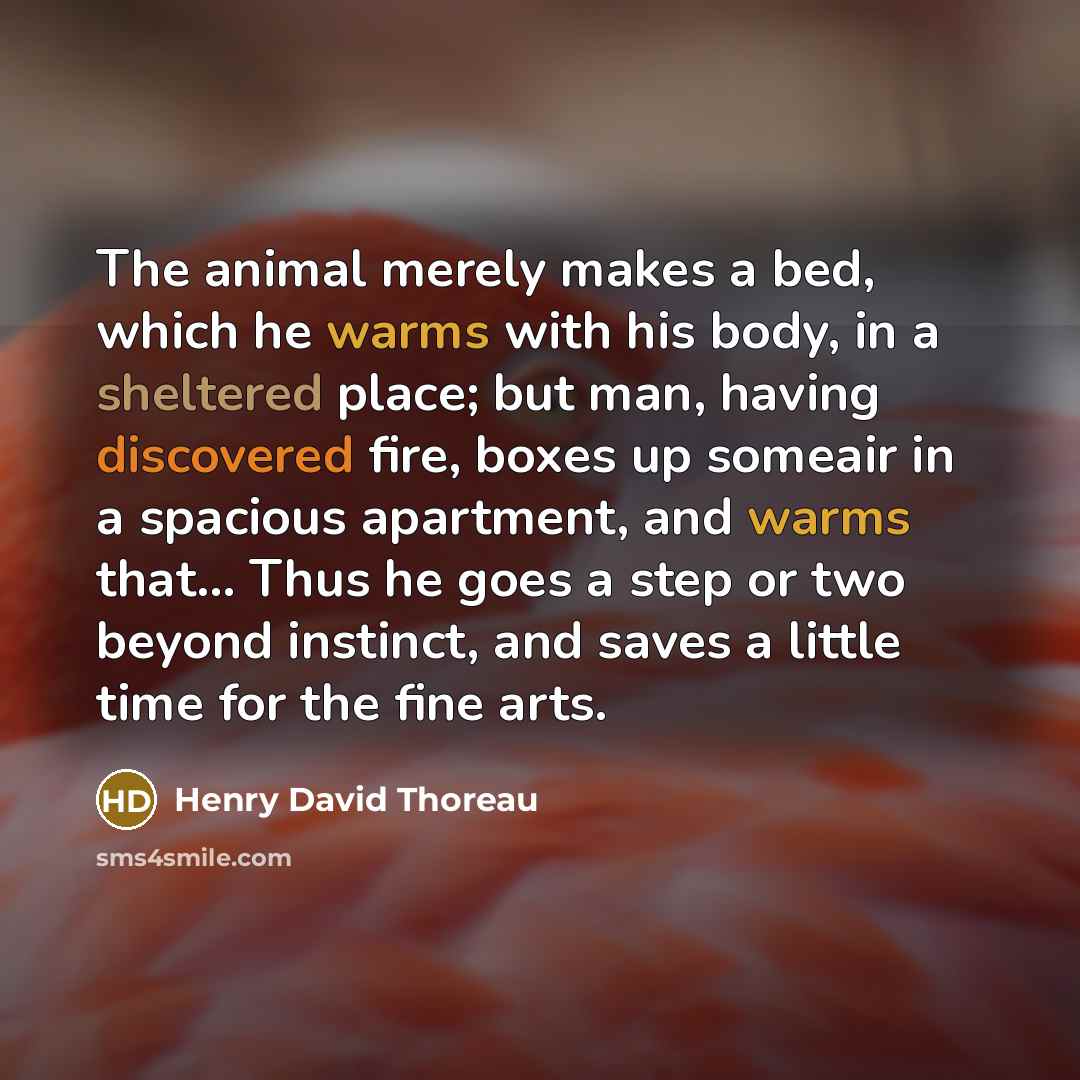 “The animal merely makes a bed, which he warms with his body, in a sheltered place; but man, having discovered fire, boxes up someair in a spacious apartment, and warms that… Thus he goes a step or two beyond instinct, and saves a little time for the fine arts.” quote by Henry David Thoreau