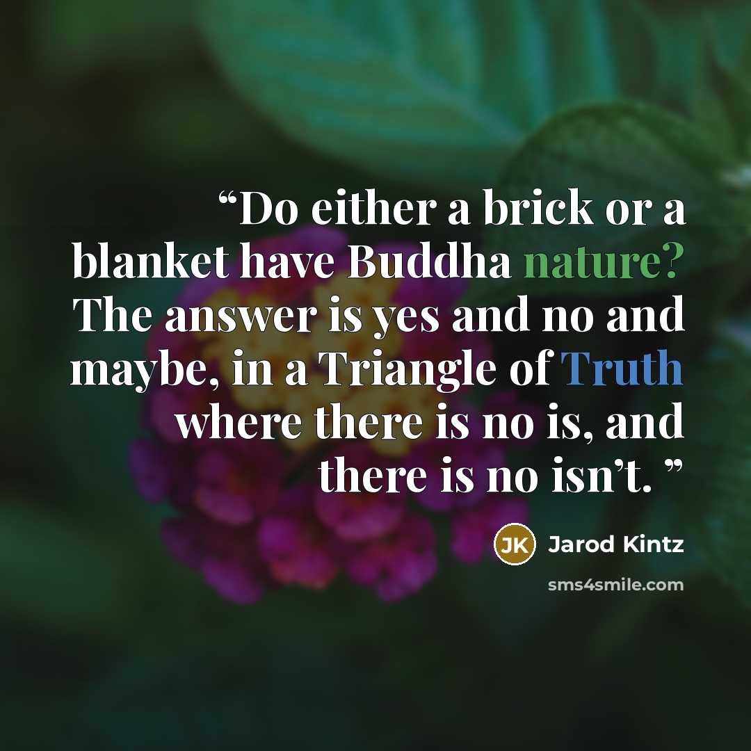 “Do either a brick or a blanket have Buddha nature? The answer is yes and no and maybe, in a Triangle of Truth where there is no is, and there is no isn’t.” quote by Jarod Kintz