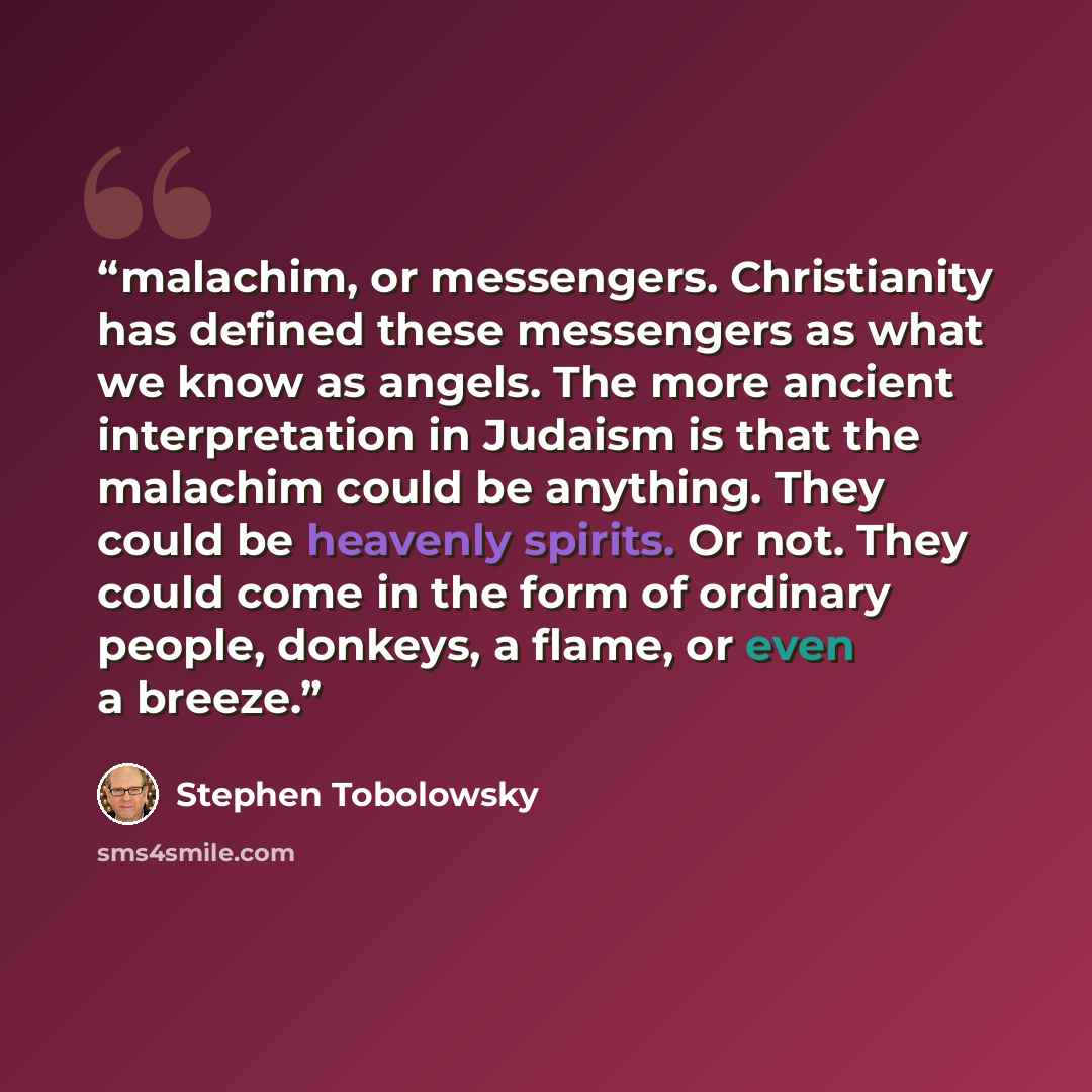 “malachim, or messengers. Christianity has defined these messengers as what we know as angels. The more ancient interpretation in Judaism is that the malachim could be anything. They could be heavenly spirits. Or not. They could come in the form of ordinary people, donkeys, a flame, or even a breeze.” quote by Stephen Tobolowsky