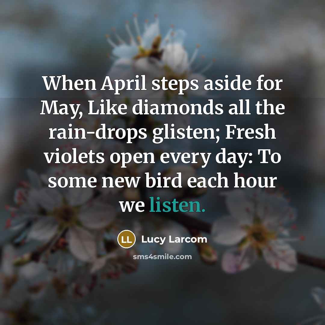 “When April steps aside for May, Like diamonds all the rain-drops glisten; Fresh violets open every day: To some new bird each hour we listen.” quote by Lucy Larcom