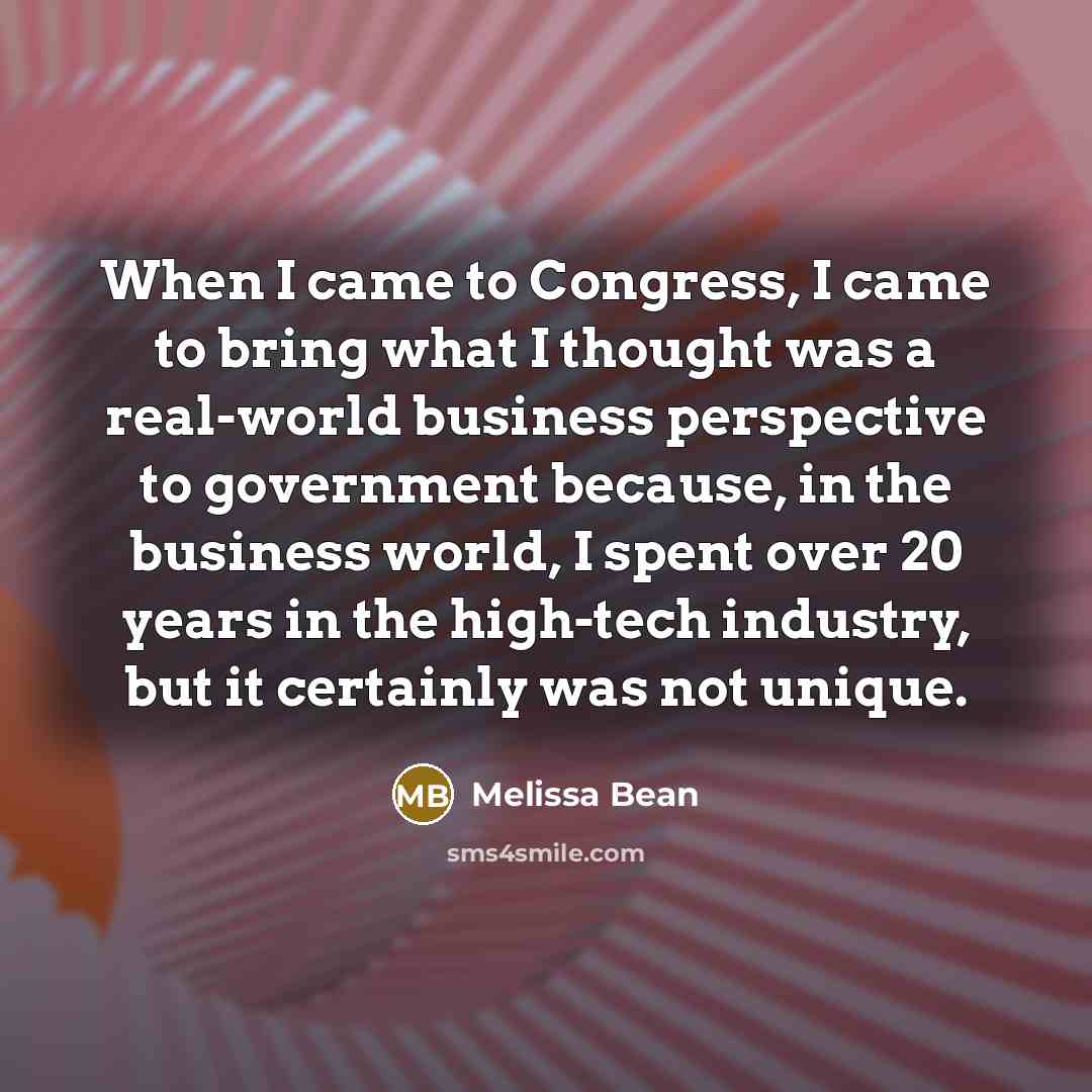 “When I came to Congress, I came to bring what I thought was a real-world business perspective to government because, in the business world, I spent over 20 years in the high-tech industry, but it certainly was not unique.” quote by Melissa Bean