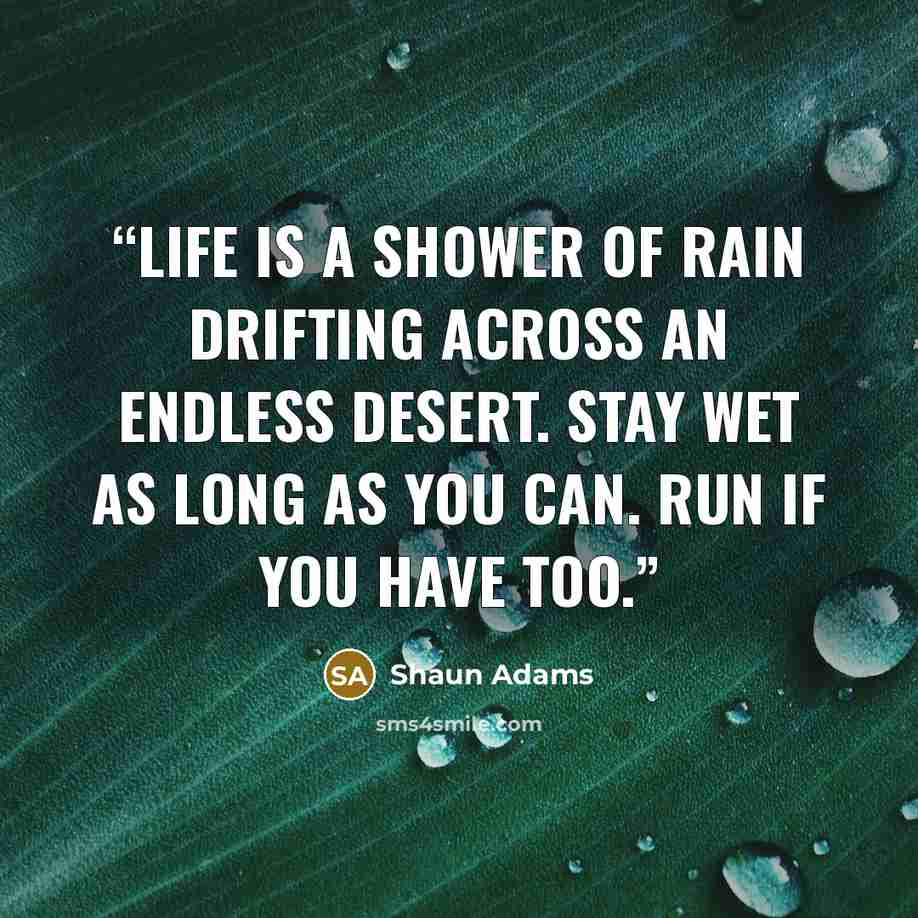 “Life is a shower of rain drifting across an endless desert. Stay wet as long as you can. Run if you have too.” quote by Shaun Adams