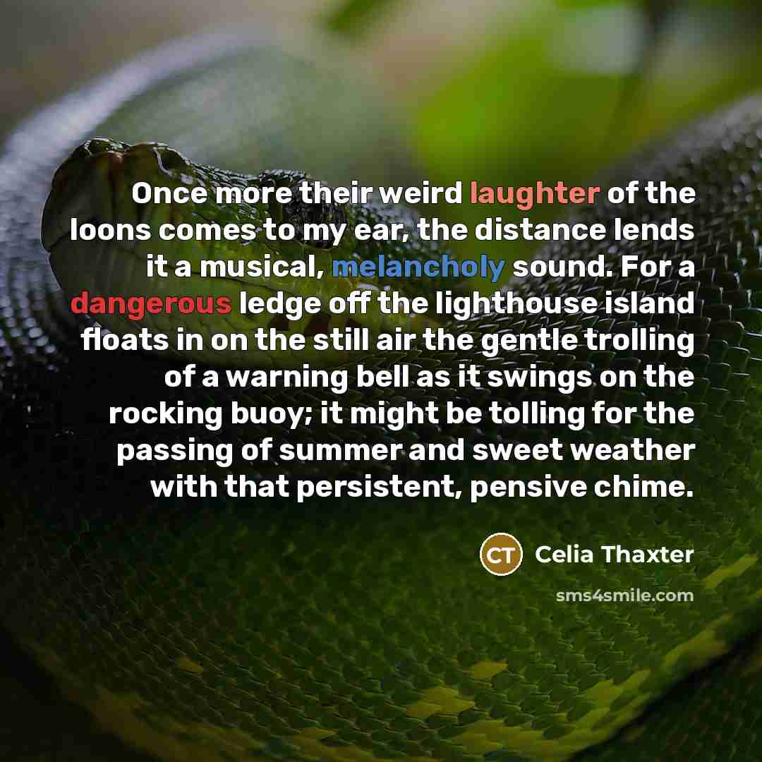 “Once more their weird laughter of the loons comes to my ear, the distance lends it a musical, melancholy sound. For a dangerous ledge off the lighthouse island floats in on the still air the gentle trolling of a warning bell as it swings on the rocking buoy; it might be tolling for the passing of…” quote by Celia Thaxter
