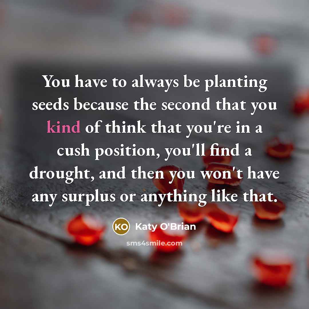 “You have to always be planting seeds because the second that you kind of think that you're in a cush position, you'll find a drought, and then you won't have any surplus or anything like that.” quote by Katy O'Brian