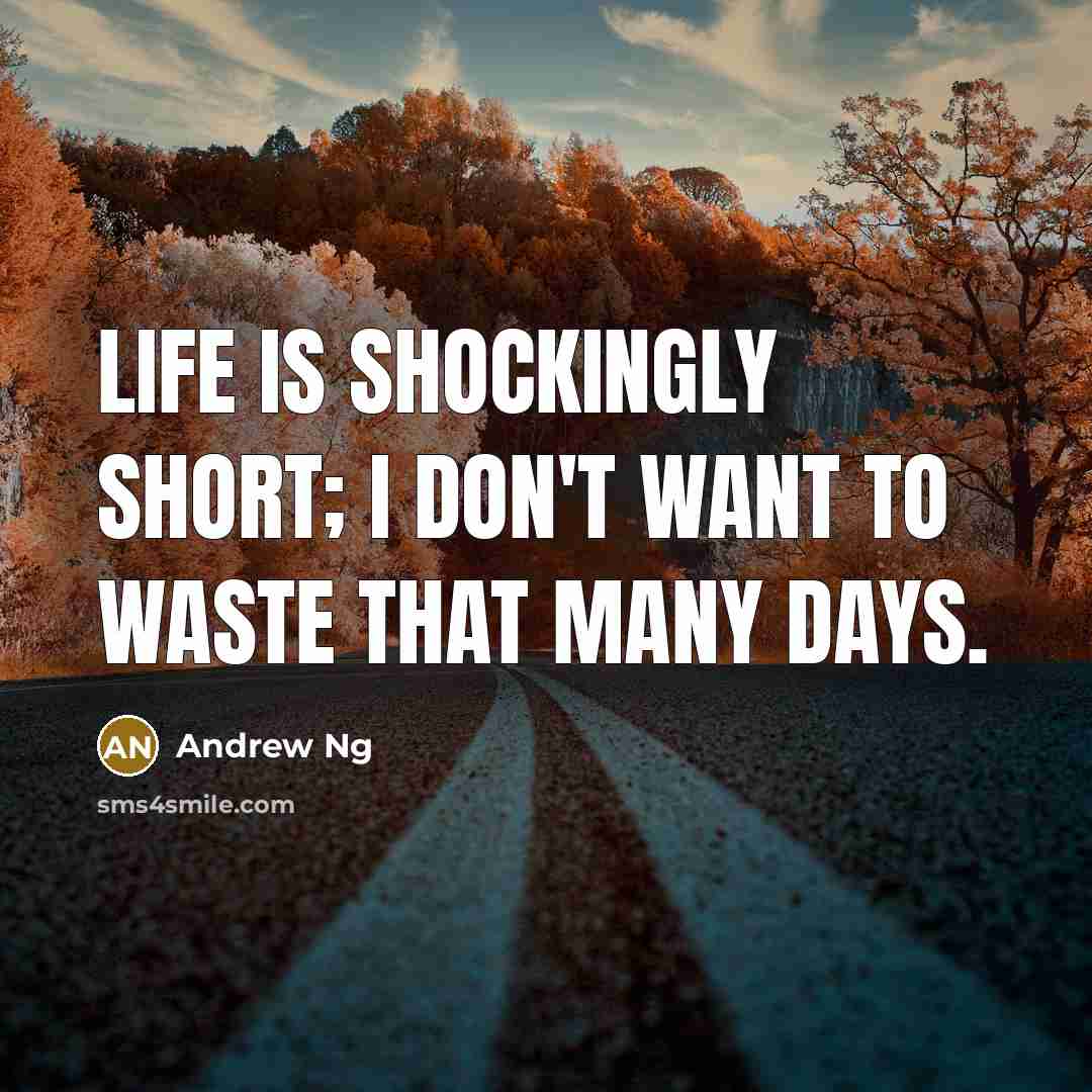 “Life is shockingly short; I don't want to waste that many days.” quote by Andrew Ng