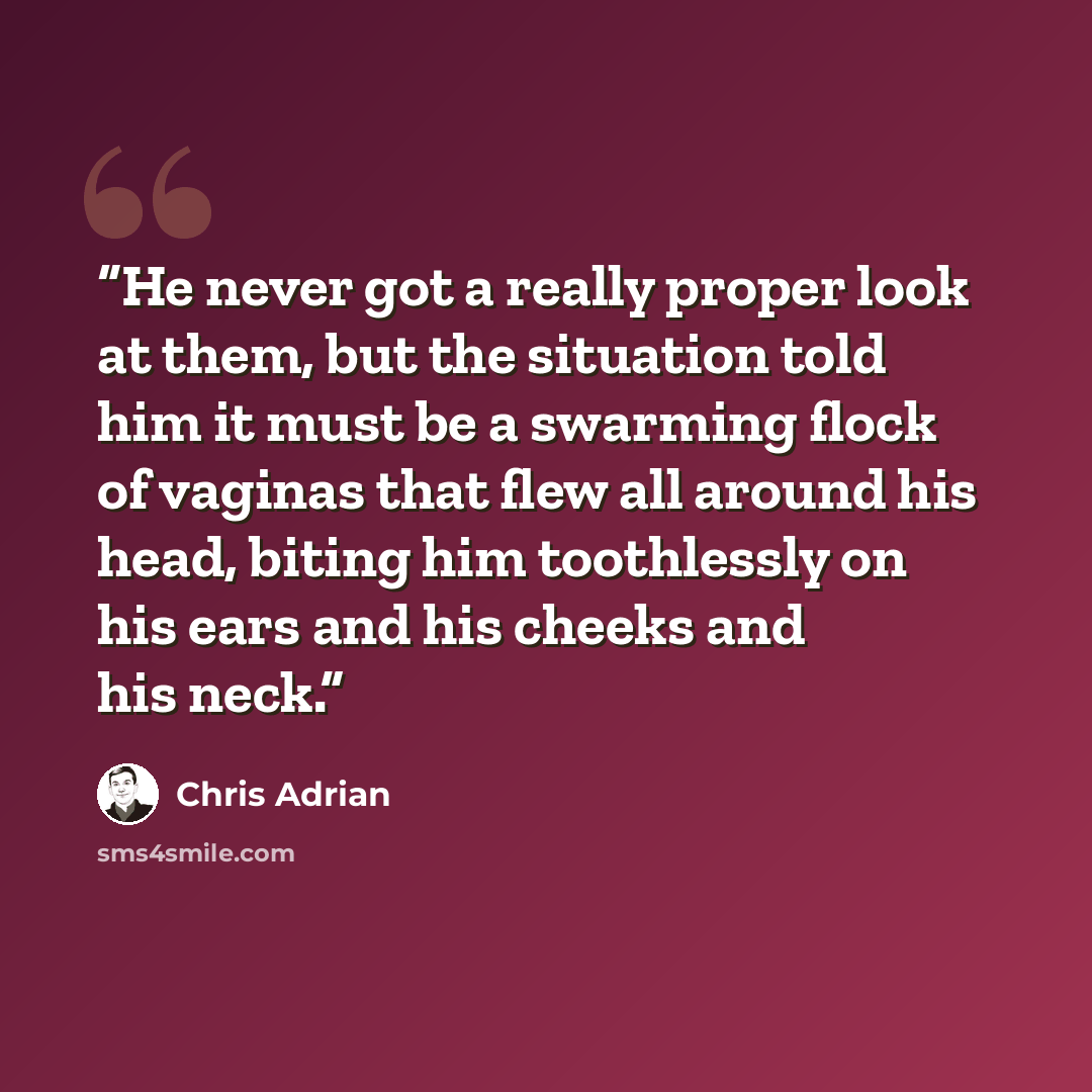 “He never got a really proper look at them, but the situation told him it must be a swarming flock of vaginas that flew all around his head, biting him toothlessly on his ears and his cheeks and his neck.” quote by Chris Adrian