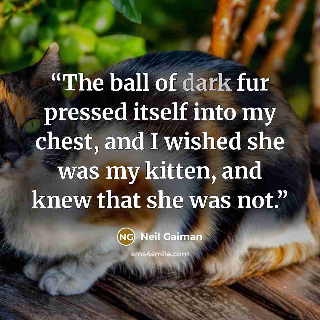 “The ball of dark fur pressed itself into my chest, and I wished she was my kitten, and knew that she was not.” quote by Neil Gaiman