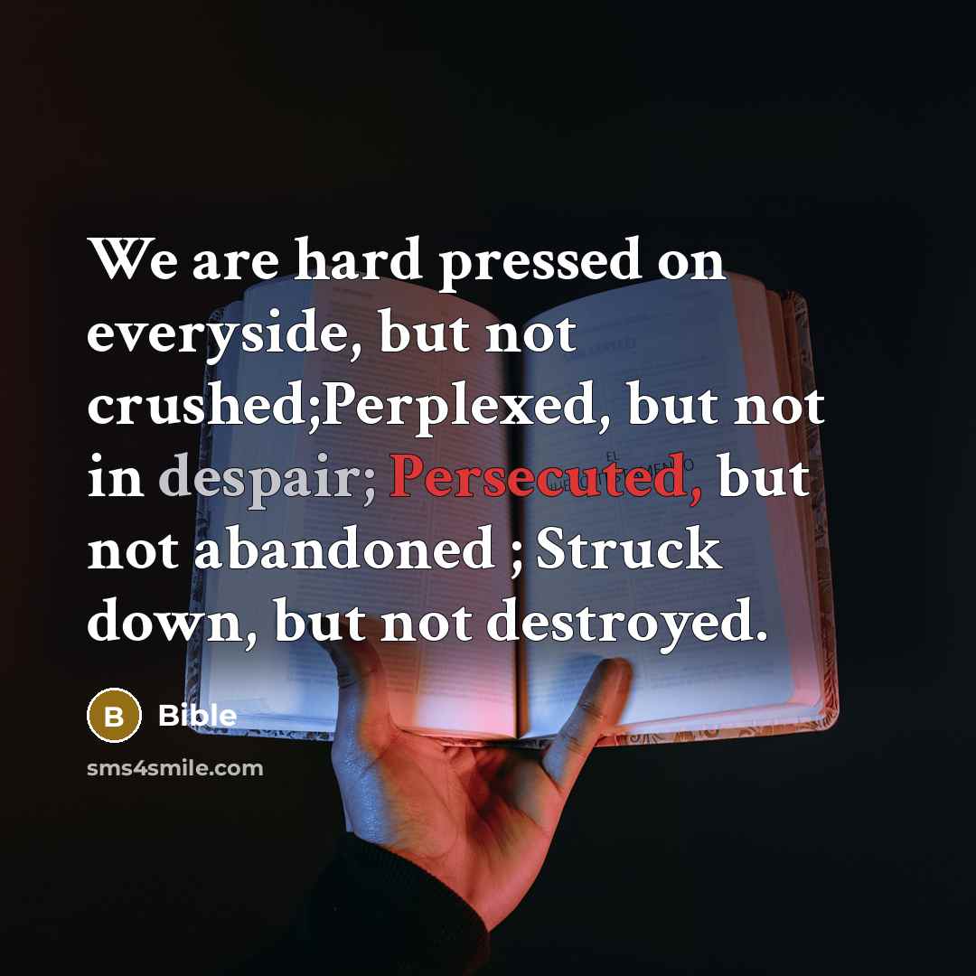 “We are hard pressed on everyside, but not crushed;Perplexed, but not in despair; Persecuted, but not abandoned ; Struck down, but not destroyed.” quote by Bible
