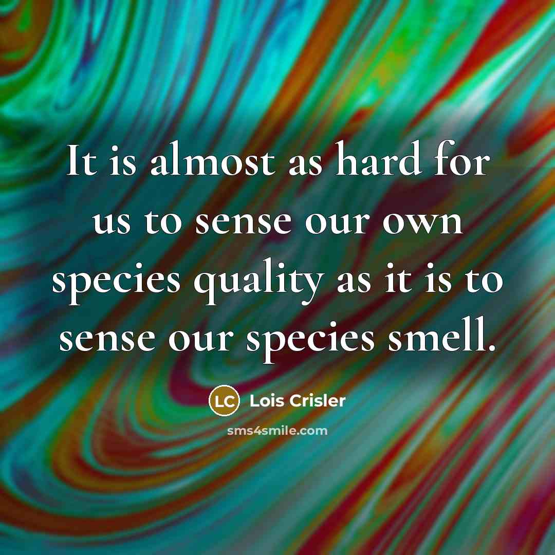 “It is almost as hard for us to sense our own species quality as it is to sense our species smell.” quote by Lois Crisler