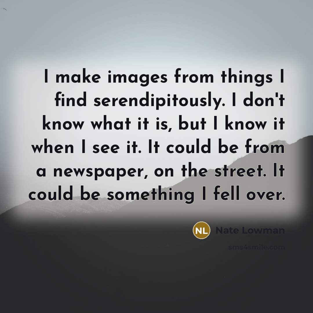 “I make images from things I find serendipitously. I don't know what it is, but I know it when I see it. It could be from a newspaper, on the street. It could be something I fell over.” quote by Nate Lowman