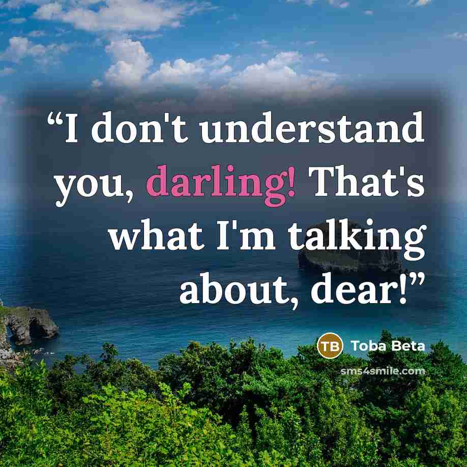 “I don't understand you, darling! That's what I'm talking about, dear!” quote by Toba Beta